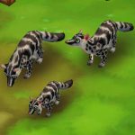 Owston’s Palm Civet