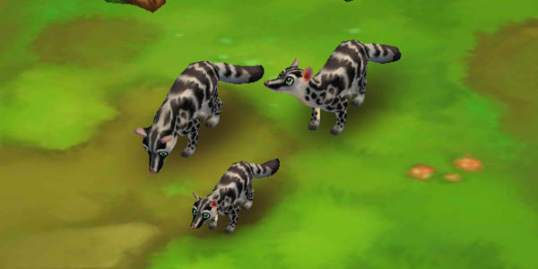 Owston’s Palm Civet