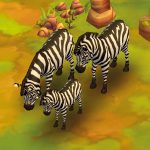 Plains Zebra