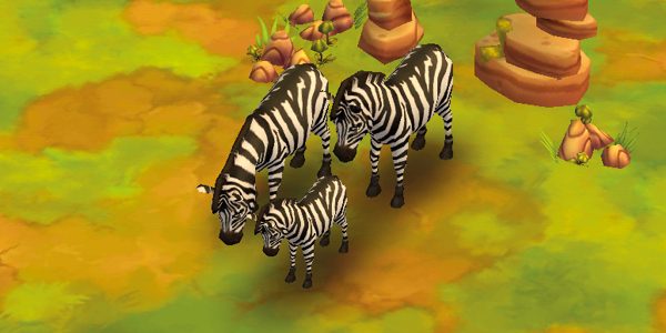 Plains Zebra
