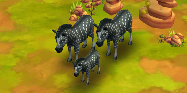 Plains Zebra Black