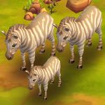 Plains Zebra White
