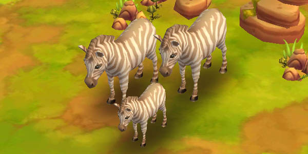 Plains Zebra White