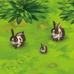 Rabbit Black & White