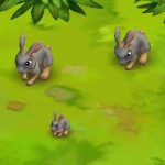 Rabbit Lilac