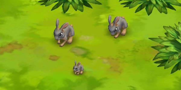 Rabbit Lilac