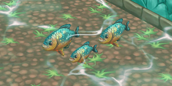 Red-Bellied Piranha Blue-Orange