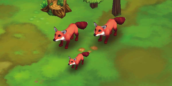 Red Fox