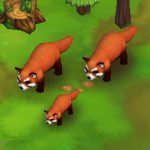 Red Panda