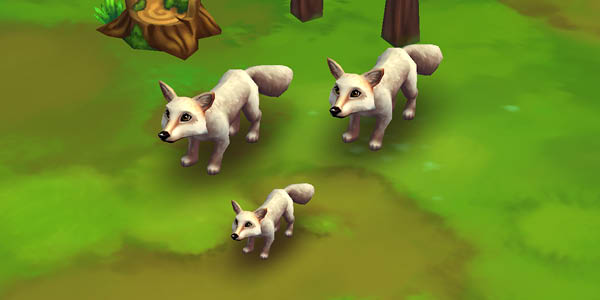 Red Fox Leusistic