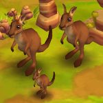 Red Kangaroo