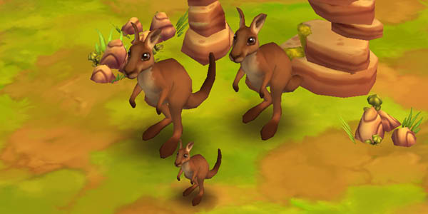 Red Kangaroo