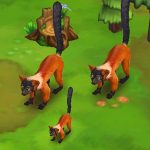 Red Ruffed Lemur