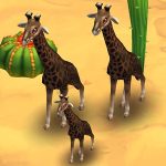 Reticulated Giraffe Black