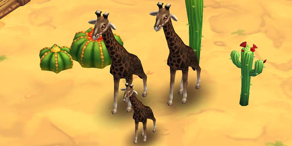 Reticulated Giraffe Black