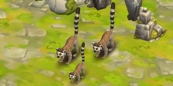 Ring-Tailed Lemur