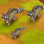 Ringtail