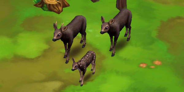 Roe Deer Black