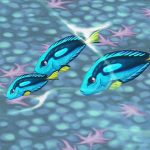 Royal Blue Tang Cyan