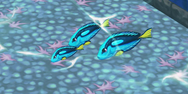 Royal Blue Tang Cyan