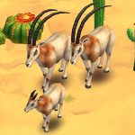 Scimitar Oryx