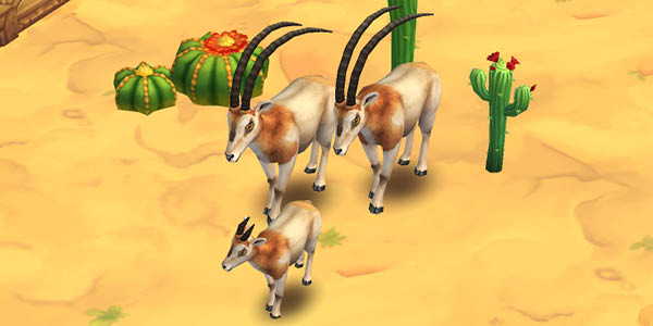Scimitar Oryx