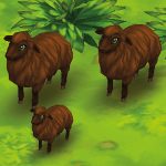Sheep Brown