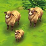 Sheep Mioget