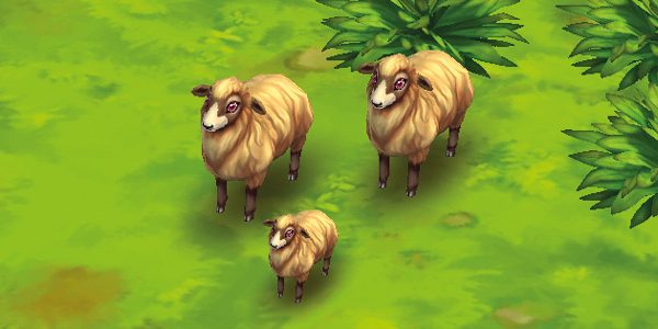 Sheep Mioget