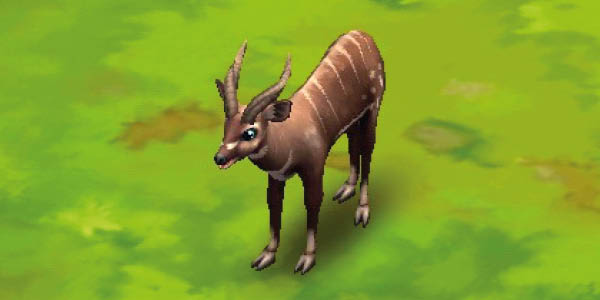 Sitatunga