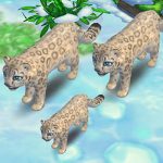 Snow Leopard