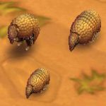 Southern Three-Banded Armadillo