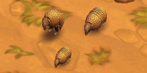 Southern Three-Banded Armadillo