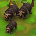 Spectacled Bear