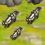 Spotted Skunk