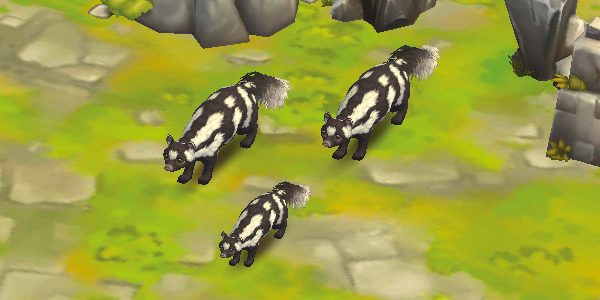 Spotted Skunk