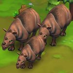 Sumatran Rhinoceros