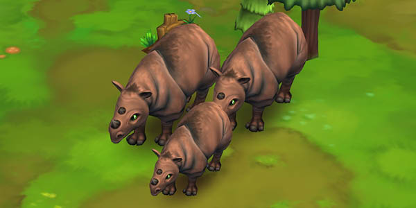 Sumatran Rhinoceros