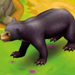 Sun Bear