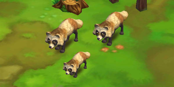 Tanuki