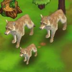 Tundra Wolf