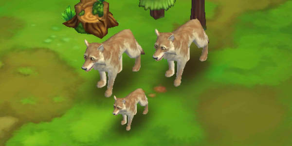 Tundra Wolf