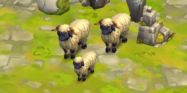 Valais Blacknose