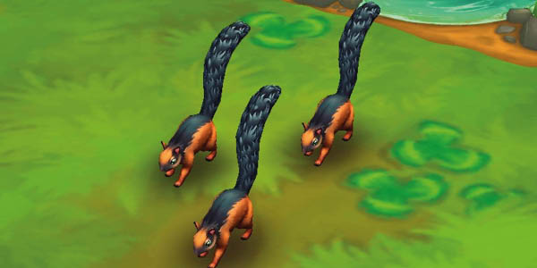Variegated Squirrel