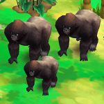 Western Lowland Gorilla