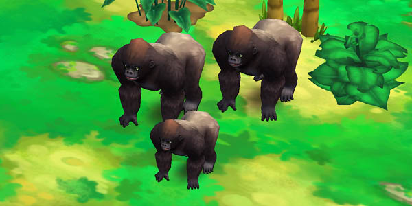 Western Lowland Gorilla