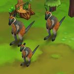Whiptail Wallaby Black