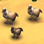White-Backed Vulture