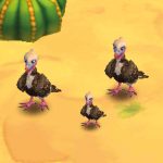 White-Headed Vulture